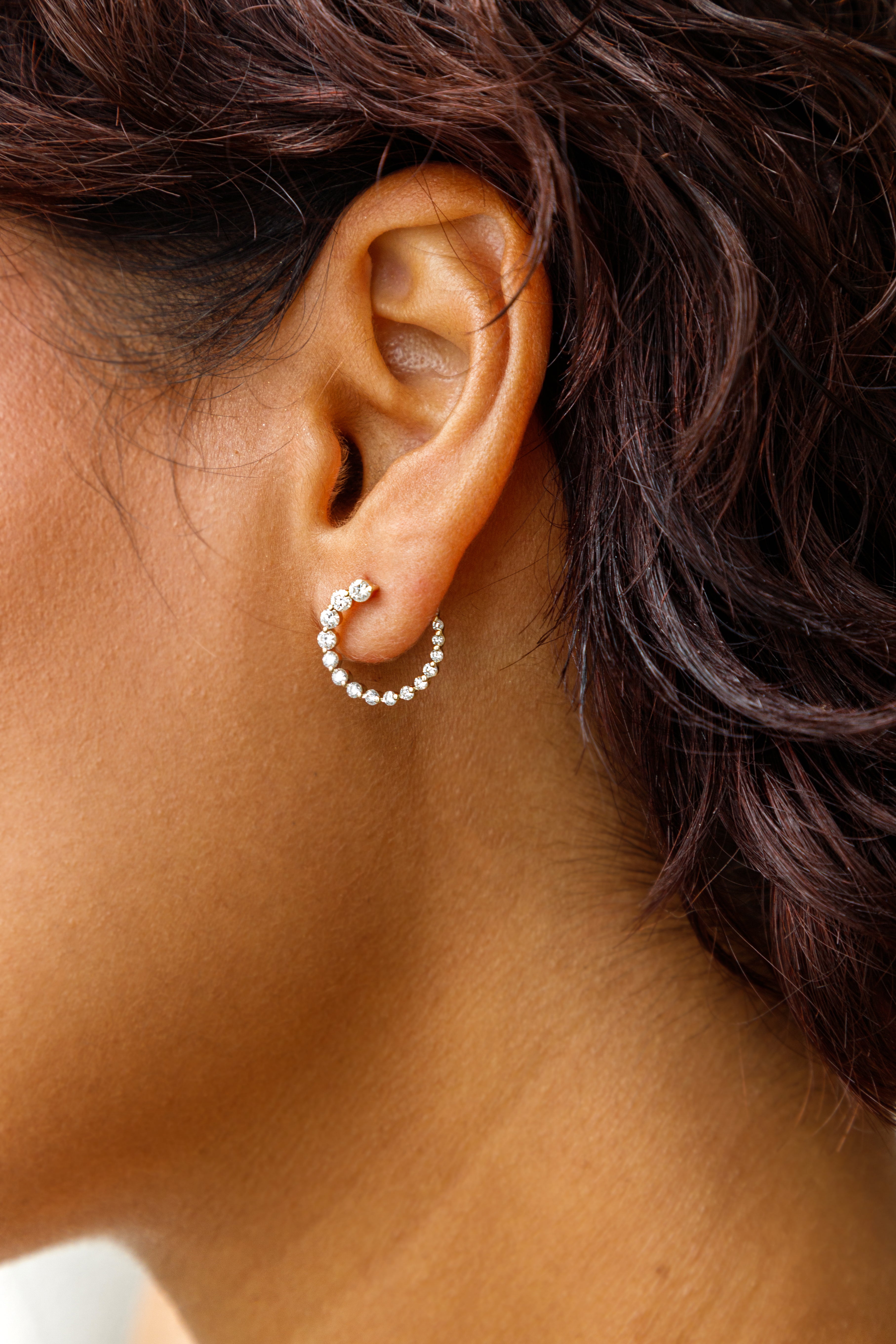 Graduated Circle Earrings, Medium Model